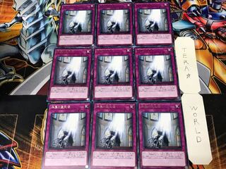 The Sanctified Darklord 2 rare, set of 9, Tera.