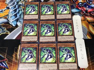 ZS-Consecrate Sage 2 Rare, set of 9 Tera.