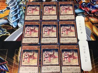 アマゾネスペット仔虎 2 レア 9枚セット てら