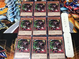 Aromage-Bianca Gamut 1 rare, set of 9 tera