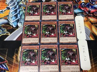 Aromage-Bianca Gamut 2 rare, set of 9 tera