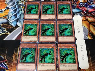 カゲトカゲ 1 レア 9枚セット てら