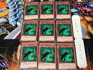 カゲトカゲ 2 レア 9枚セット てら
