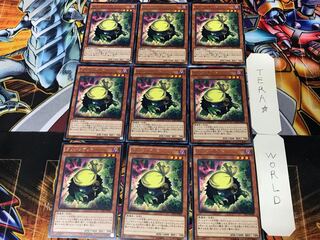 Kuribandit 2 rare, set of 9 tera