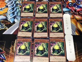 Kuribandit 3 rare, set of 9 tera