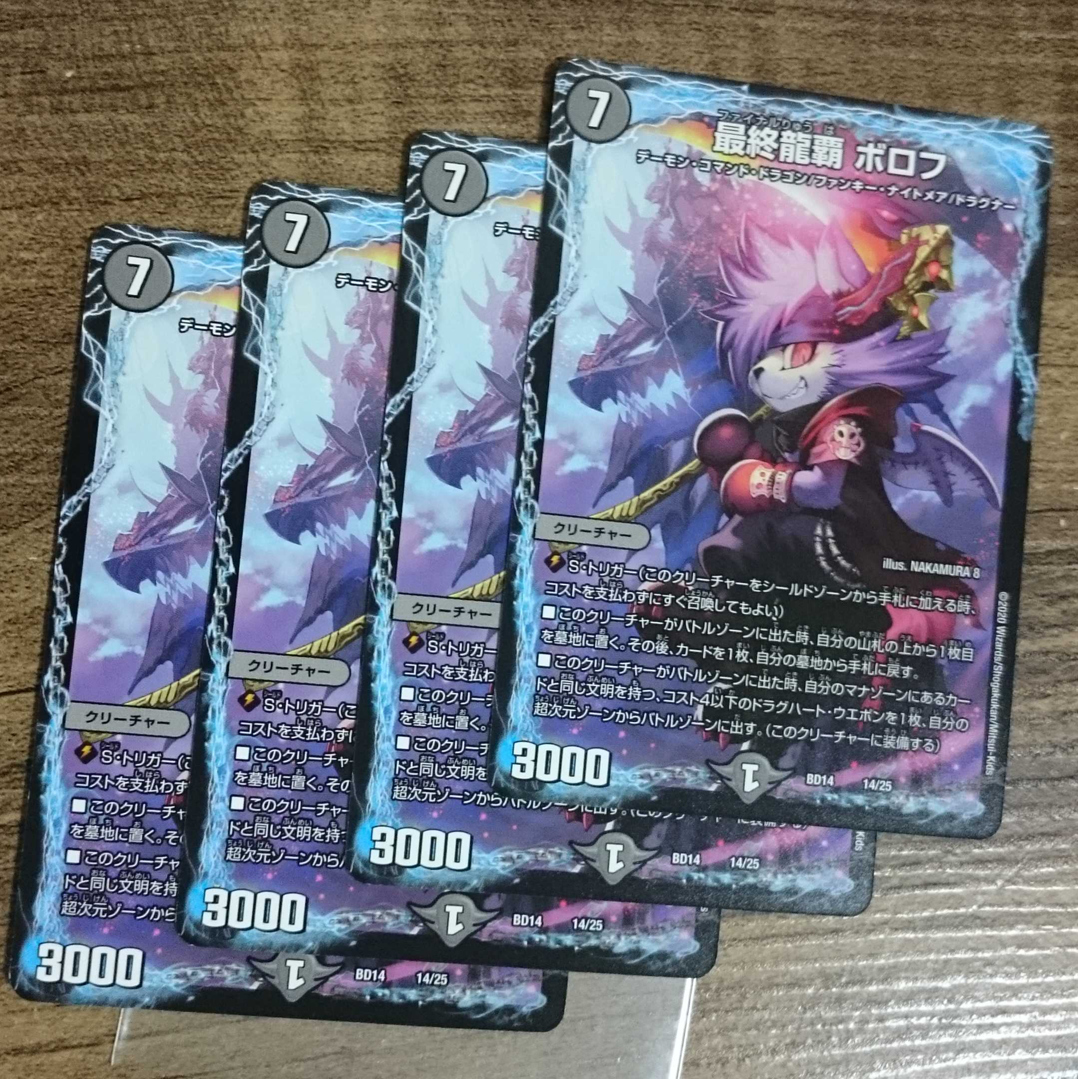 Final Dragon Heights Borov 14/25