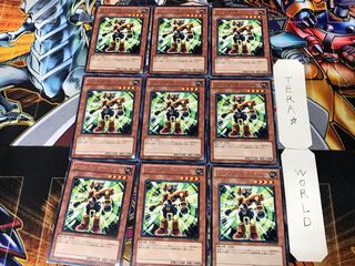 Junk Servant 1 rare, set of 9 Tera.