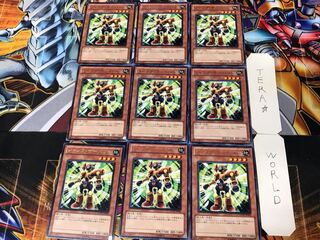 Junk Servant 2 rare, set of 9 Tera.