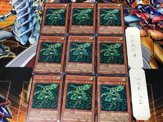 フォーチュンレディ・ウインディー 1 レア 9枚セット てら