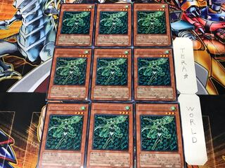 フォーチュンレディ・ウインディー 2 レア 9枚セット てら