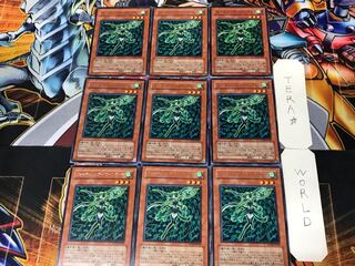 フォーチュンレディ・ウインディー 3 レア 9枚セット てら