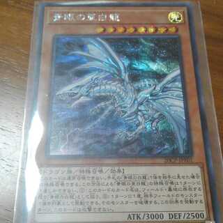 青眼の亜白龍　シク