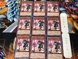 Madolche Messengelato 1 rare set of 9 tera