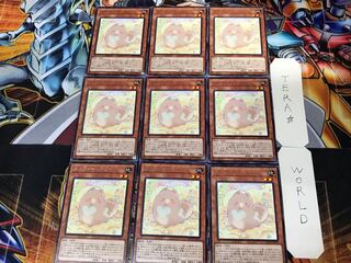 Melffy Puppy 2 Rare, set of 9, Tera