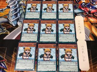 Rescue Hamster 3 Rare 9-card set Tera