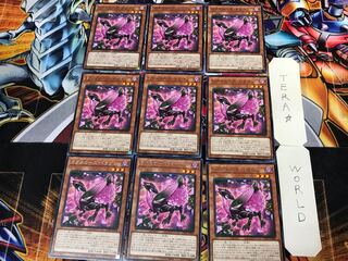 ロクスローズ・ドラゴン 1 レア 9枚セット てら