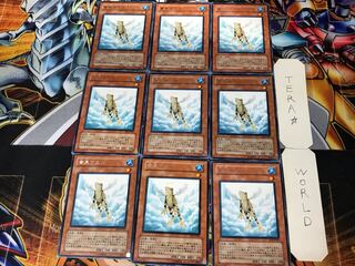 Treeborn Frog 1 rare, set of 9, Tera.