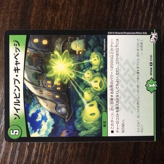 Soil Pimp Cabbage R 21/61