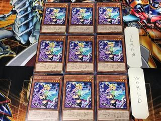 Delia, assistant of surprise paradise, 1 rare, set of 9, Tera