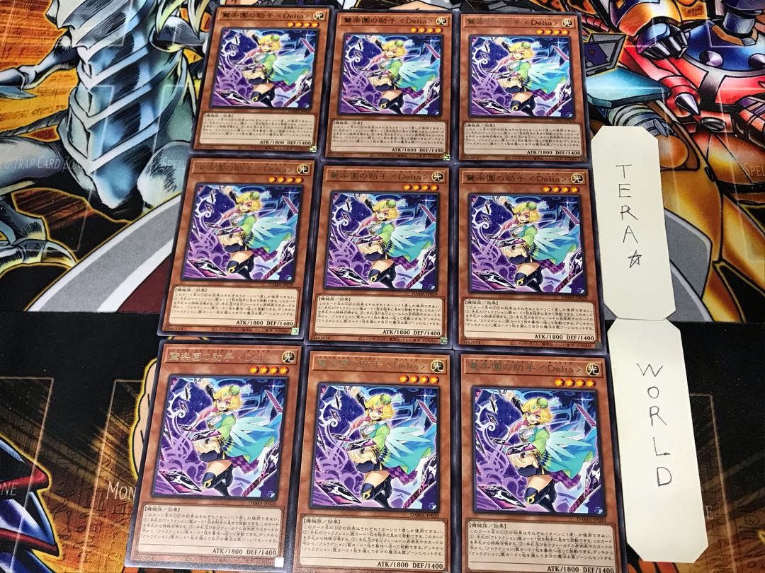 Delia, Assistant of Surprising Paradise, 3 Rare, Set of 9, Tera