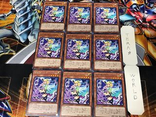 Delia, Assistant of Surprising Paradise, 3 Rare, Set of 9, Tera