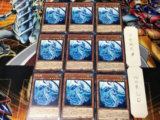 Lappis Dragon 1 rare, set of 9, Tera.