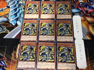 十二獣モルモラット 2 レア 9枚セット てら