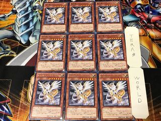 Holy Engraving Dragon - Tofeni Dragon 1 rare, set of 9 Tera.