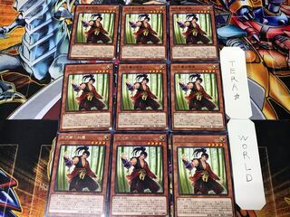 双天拳の熊羆 2 レア 9枚セット てら