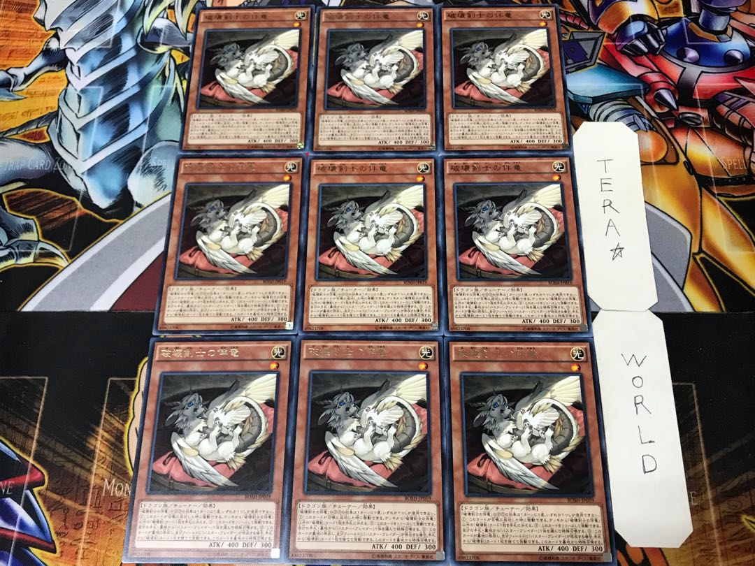 Buster Whelp of the Destruction Swordsman 1 rare set of 9 tera