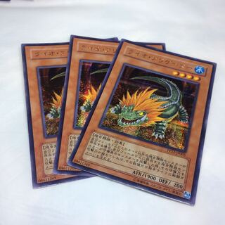 Lion Alligator [sic].