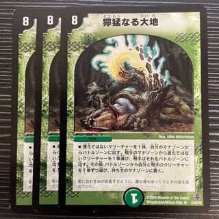 Fierce Earth R 12/55/Y6