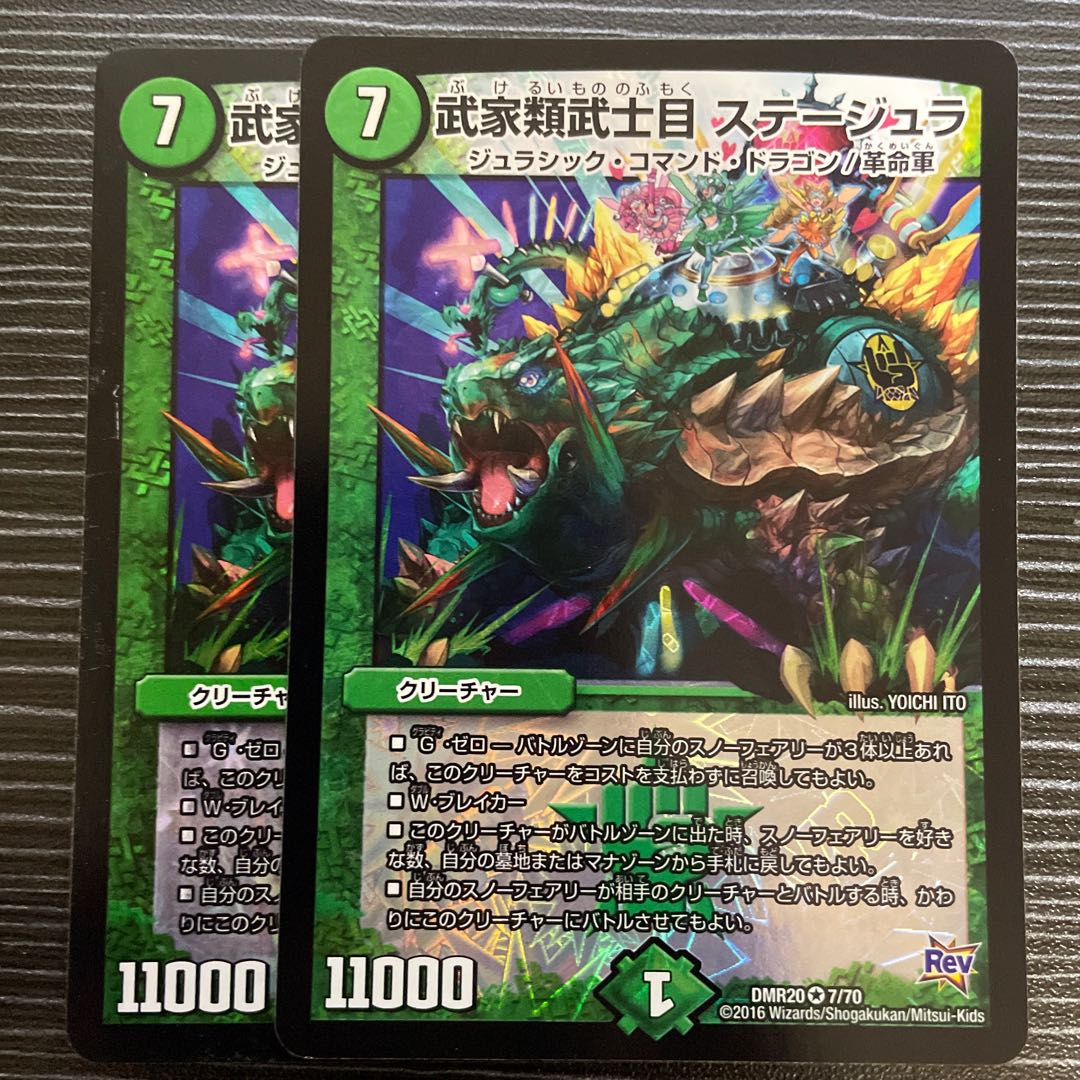 Samurai family Samurai order Stejura VR 7/70