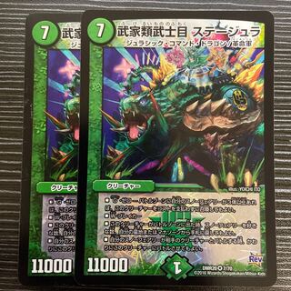 Samurai family Samurai order Stejura VR 7/70