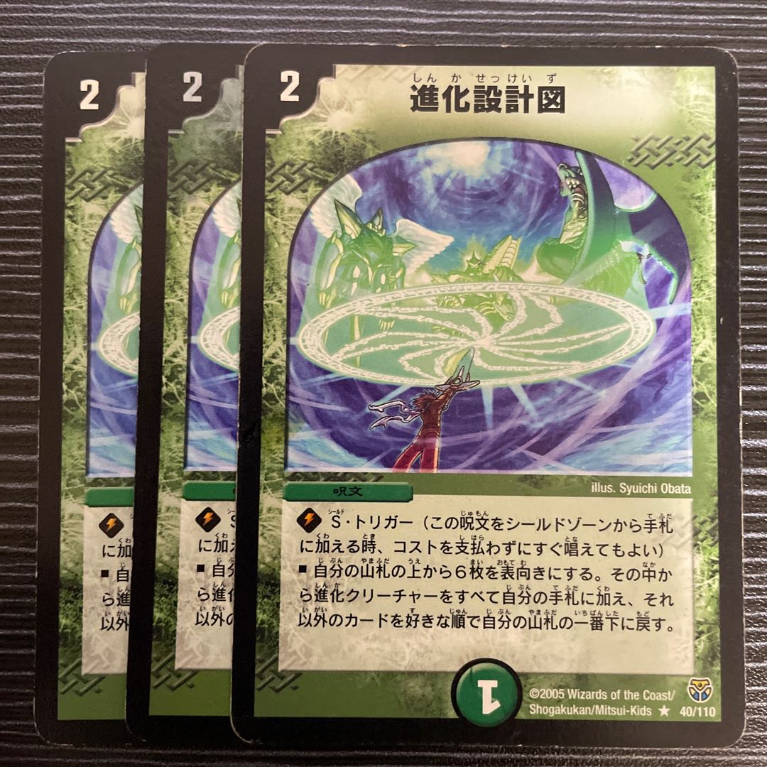 Evolutionary blueprint R 40/110