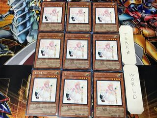 Princess of Magic Land - Pikel 3 rare, set of 9 Tera.