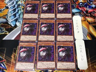 NightmareBlack Knight of Mirror-Rupeus 2 rare, set of 9 Tera.