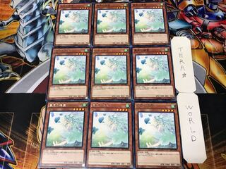 Spirit of the Fall Wind 2 rare, set of 9, Tera.