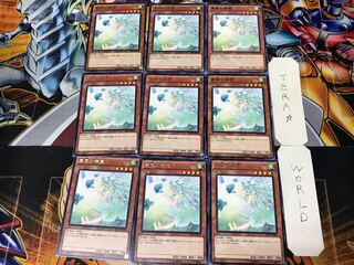 Spirit of the Fall Wind 3 rare, set of 9 Tera.