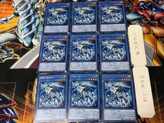 Paladin of Storm Dragon 2 rare, set of 9 Tera.