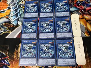 Paladin of Storm Dragon 3 rare, set of 9 Tera.
