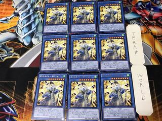 霊魂鳥神-彦孔雀 2 レア 9枚セット てら