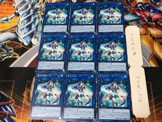 Ib the World Chalice Priestess 2 rare, set of 9 Tera.