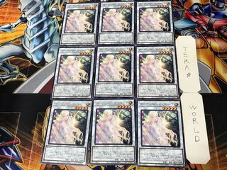 ガーデン・ローズ・フローラ 1 レア 9枚セット てら