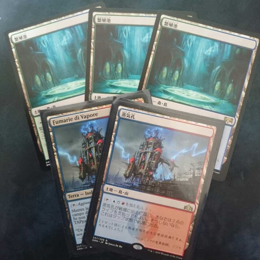 MTG 蒸気孔繁殖池5枚セット