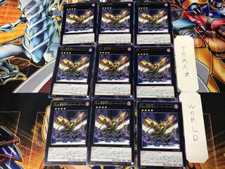 Number 66: Master Key Beetle 2 rare, set of 9, Tera