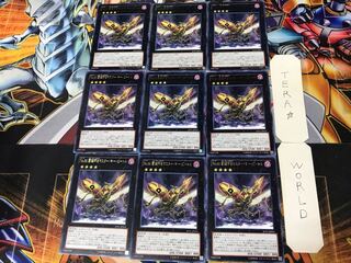 Number 66: Master Key Beetle 3 rare, set of 9, Tera.