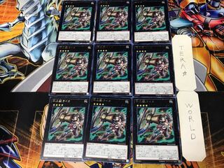 Zoodiac Chakanine 2 rare, set of 9 Tera.