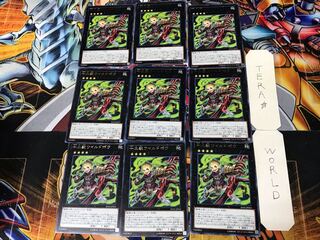 十二獣ワイルドボウ 2 レア 9枚セット てら