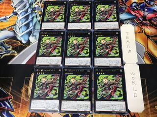 十二獣ワイルドボウ 3 レア 9枚セット てら